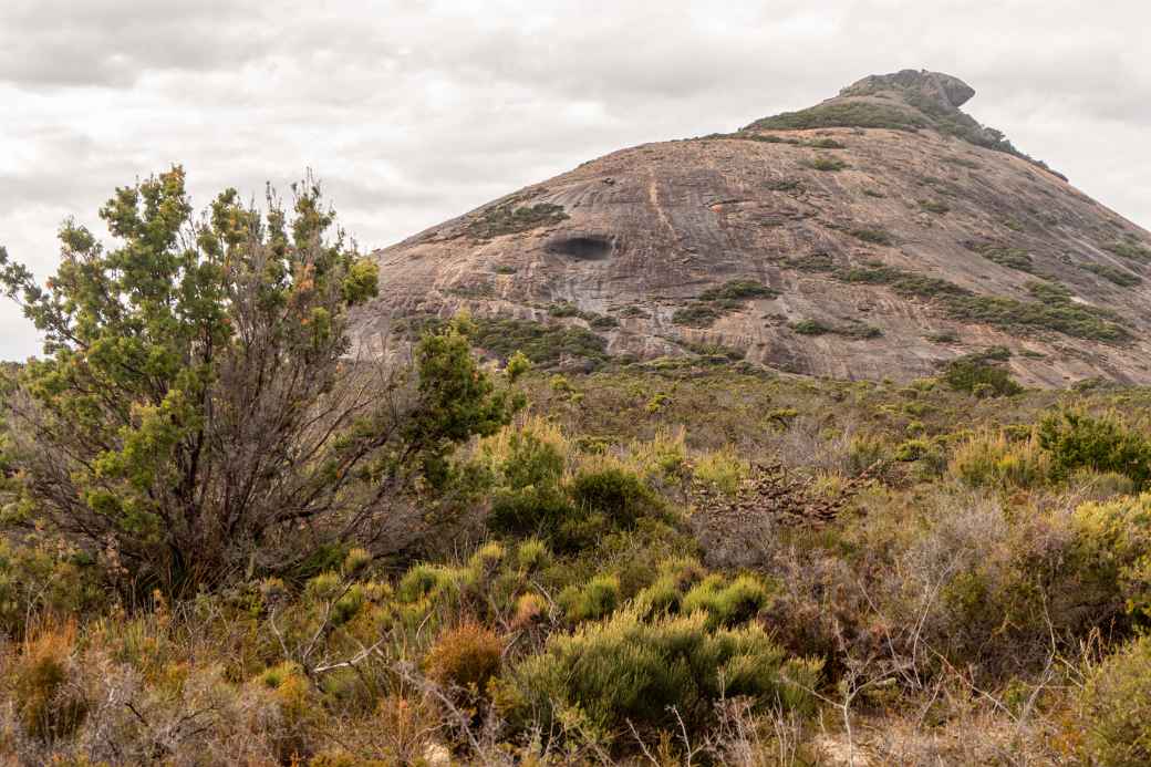 Frenchman Peak