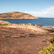Thistle Bay