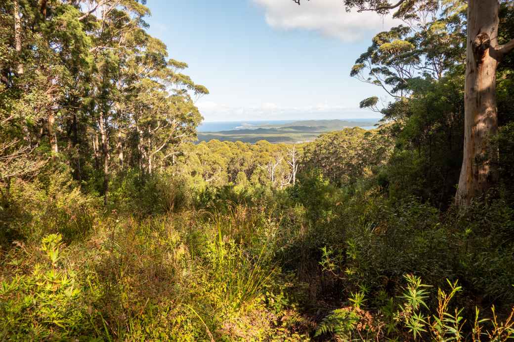 View, Hiltop Lookout