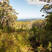 View, Hiltop Lookout