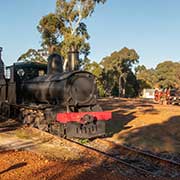 Locomotive, Manjimup Heritage Park