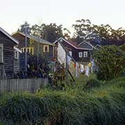 Wooden houses, Pemberton