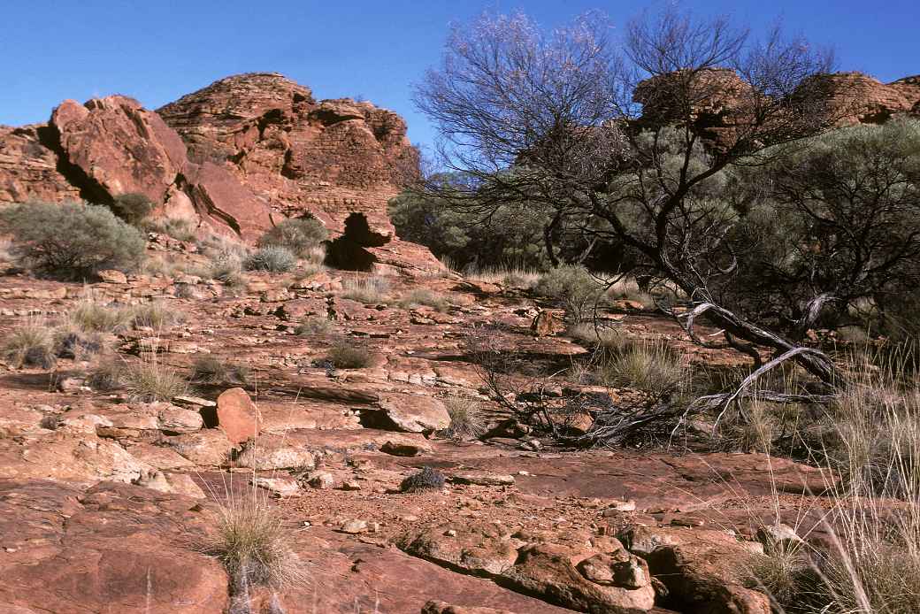 Kings Canyon, Watarrka National Park