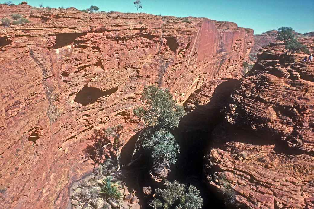 Panorama of Kings Canyon