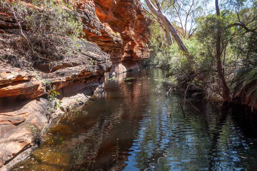 Waterhole, Garden of Eden