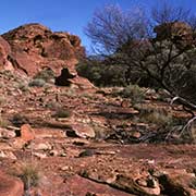 Kings Canyon, Watarrka National Park