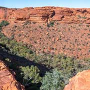 View into Kings Canyon