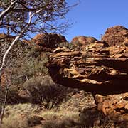 Central Australia