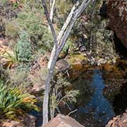 Waterhole, Garden of Eden