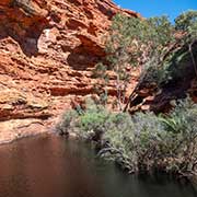 Waterhole, Garden of Eden