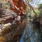 Waterhole, Garden of Eden