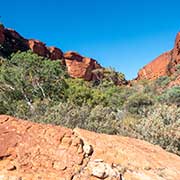 View from the bottom of Kings Canyon