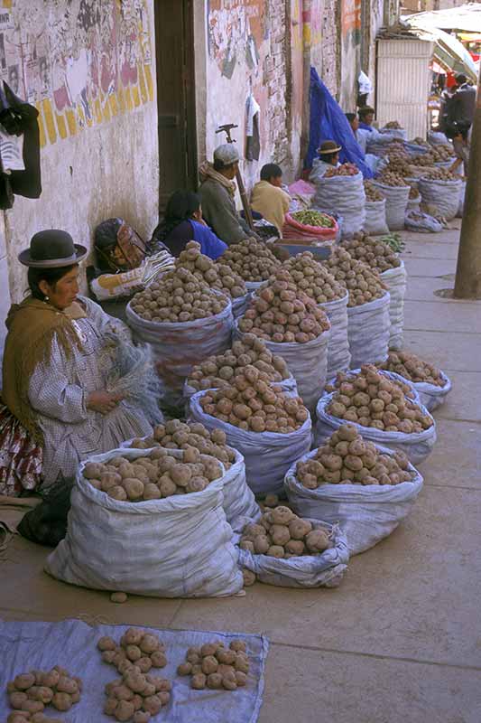 Selling potatoes
