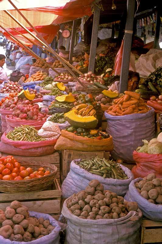 Vegetables for sale