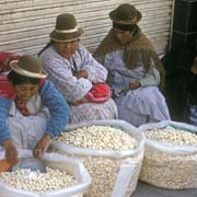 Market women