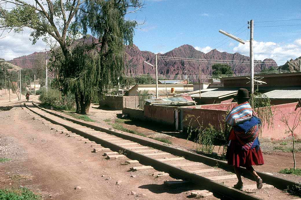 Railroad in Palala, Tupiza