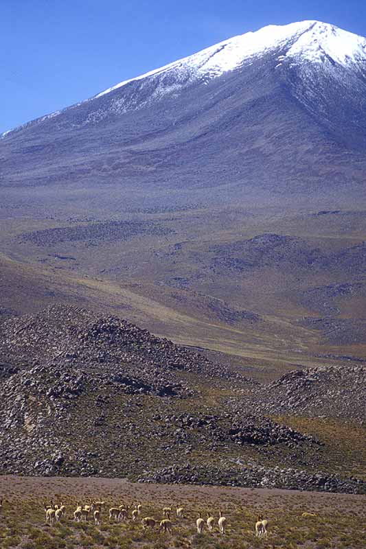 Ollagüe volcano