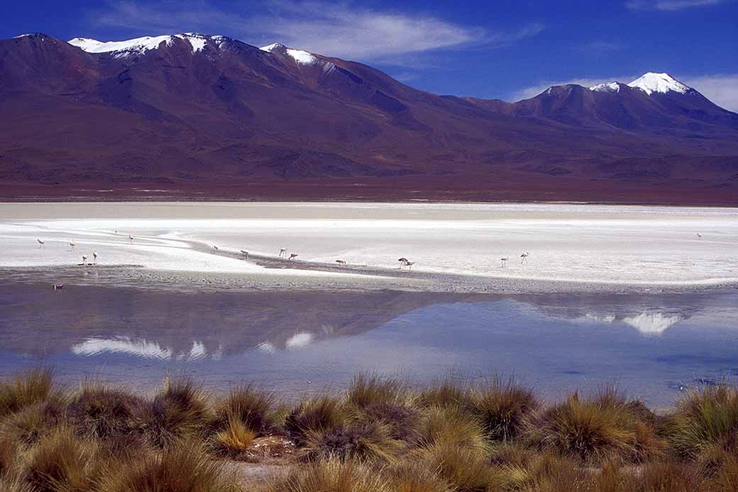 Laguna Hedioda