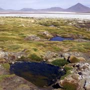 Laguna Colorada