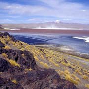 View, Laguna Colorada