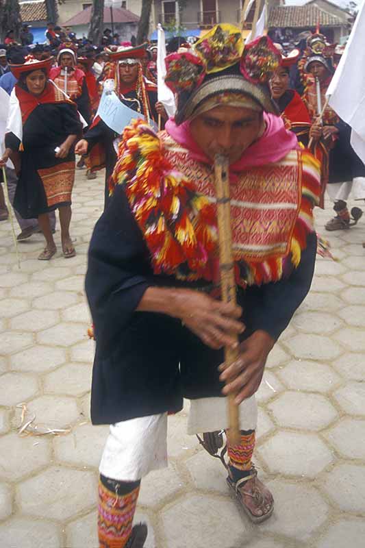 Indian flute, Pujllay
