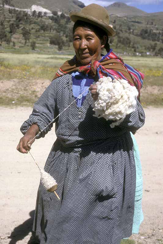 Spinning wool