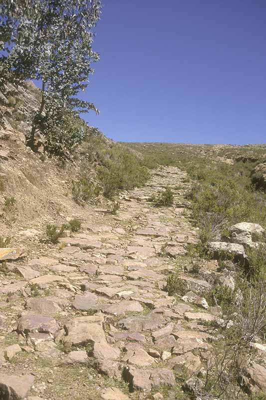 Inca road                