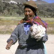 Spinning wool