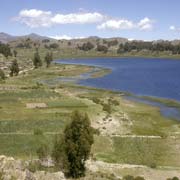 Lago Titicaca near Sicuani