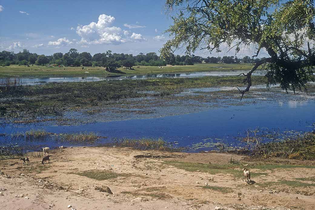 Kavango, Maun