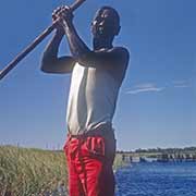 Punting a canoe, Okavango