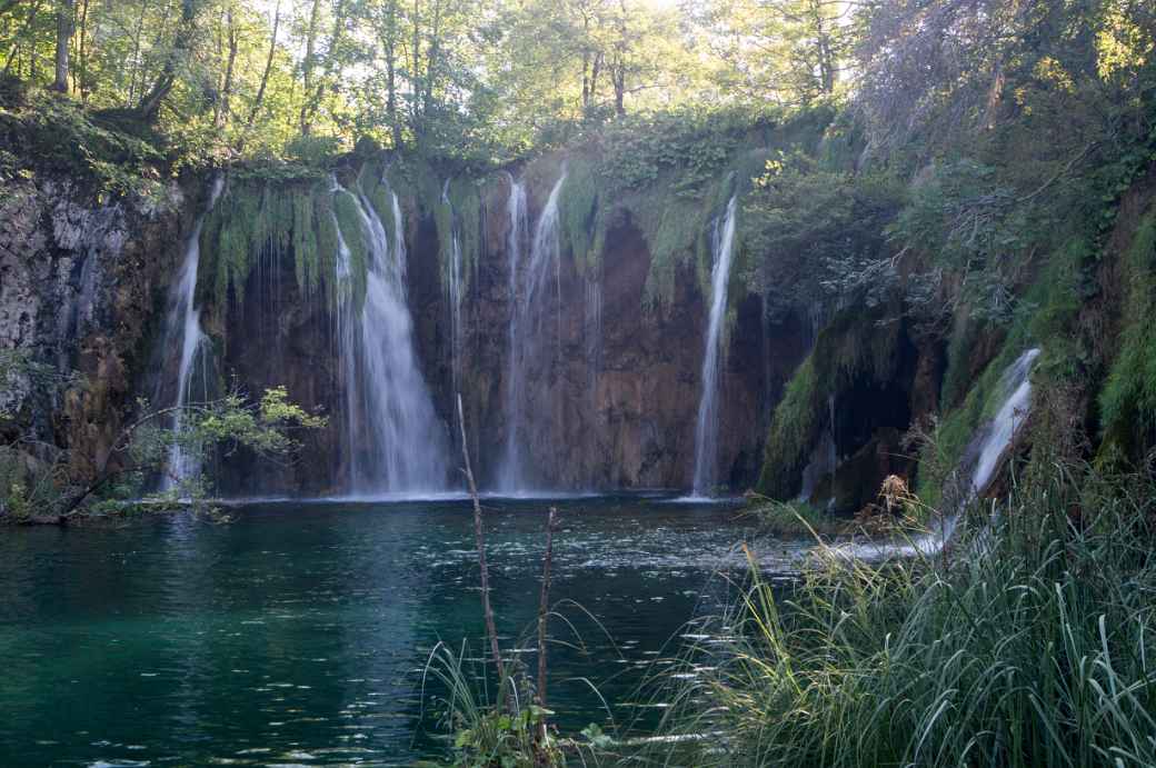 Galovački buk