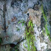 Taíno rockpaintings, Baracoa