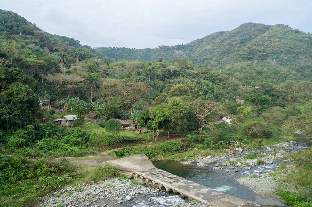 In the Sierra Maestra