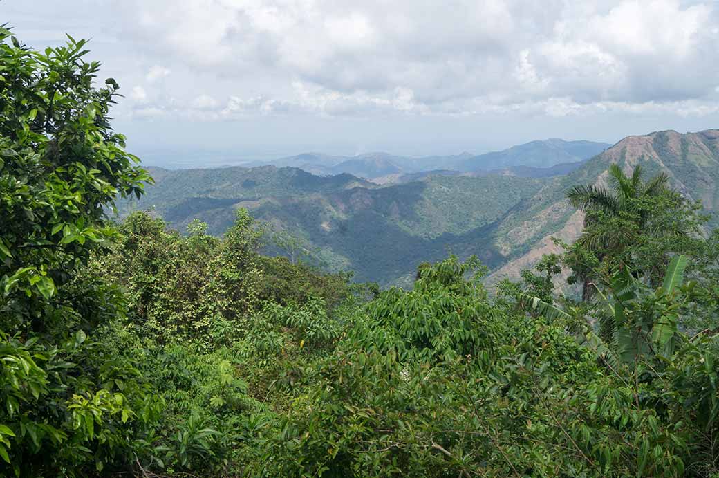 View, Alto de Naranjo