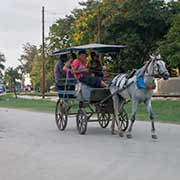 Horse-drawn carriages, Bayamo