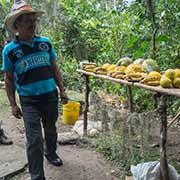 Fruit for sale, Alto de Naranjo