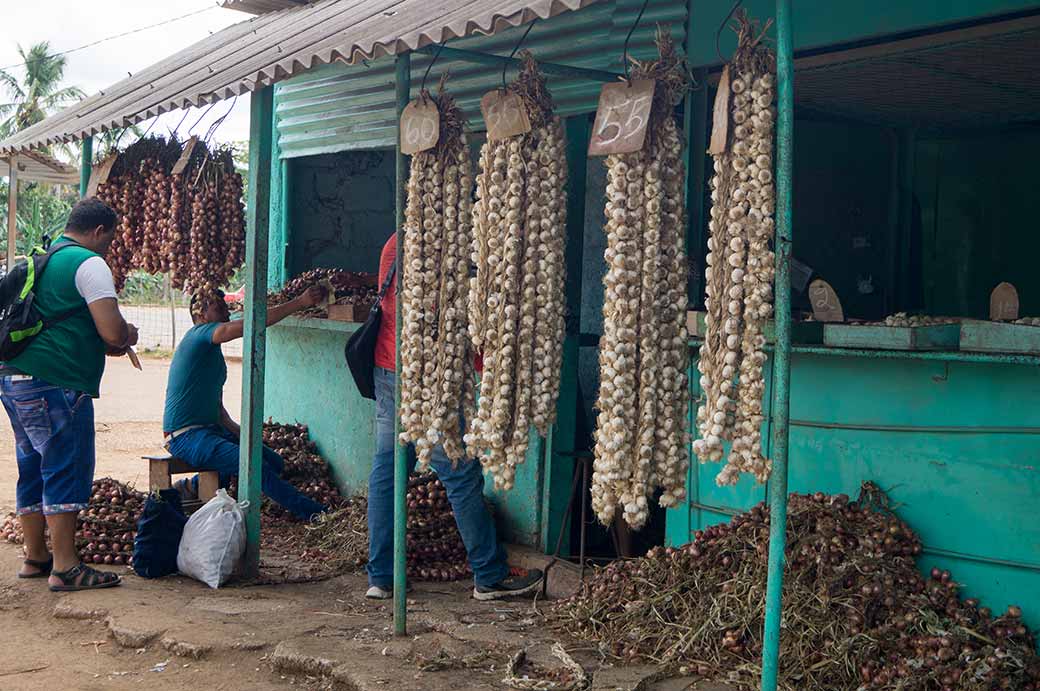 Garlic, Hatibonico market, Camagüey