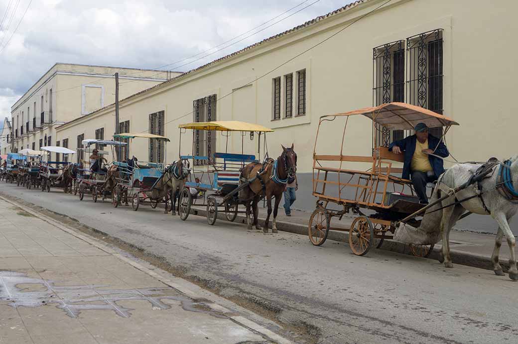 Horse and carts, Camagüey