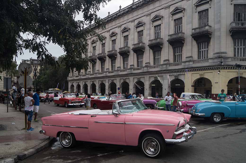 1955 Plymouth Belvedere