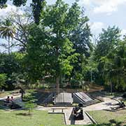 Loma San Juan Tree Peace Park