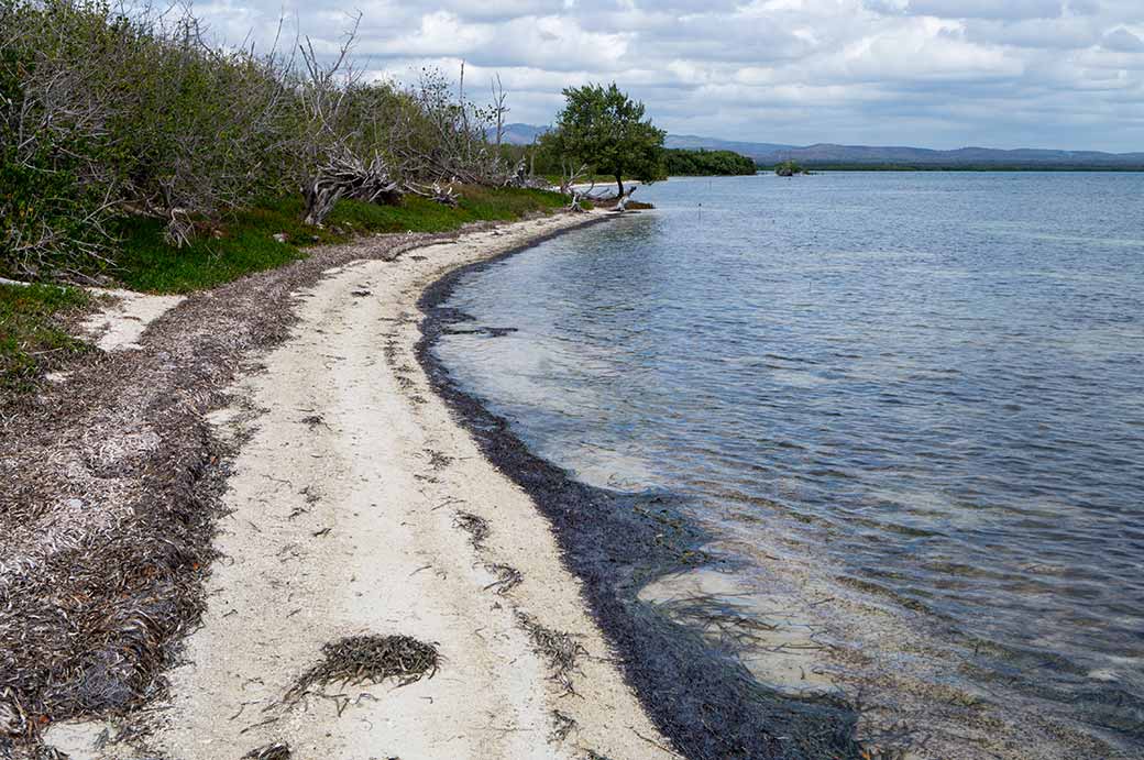 East of Playa Ancón, Trinidad