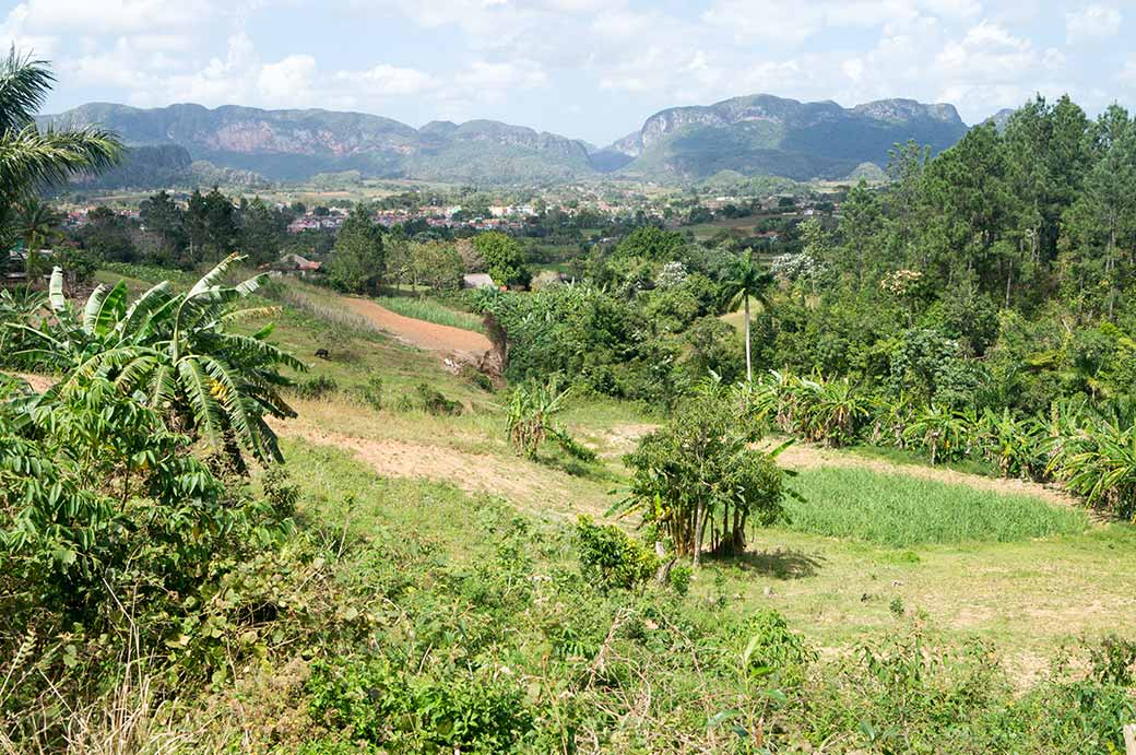 View to Viñales