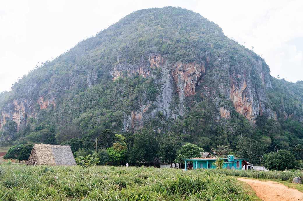 Hill near Cueva de Vaca, Viñales