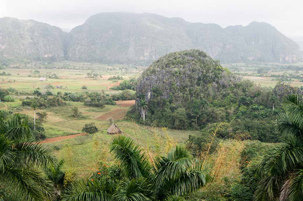 View in Valle de Viñales