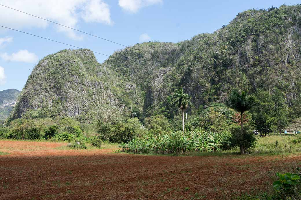 Parque Nacional Viñales