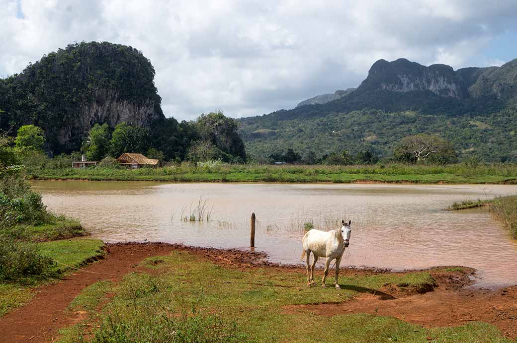 Lake, Parque Nacional Viñales