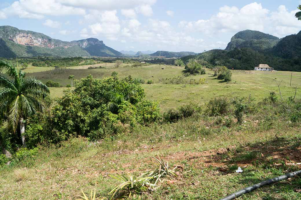 View, Parque Nacional Viñales