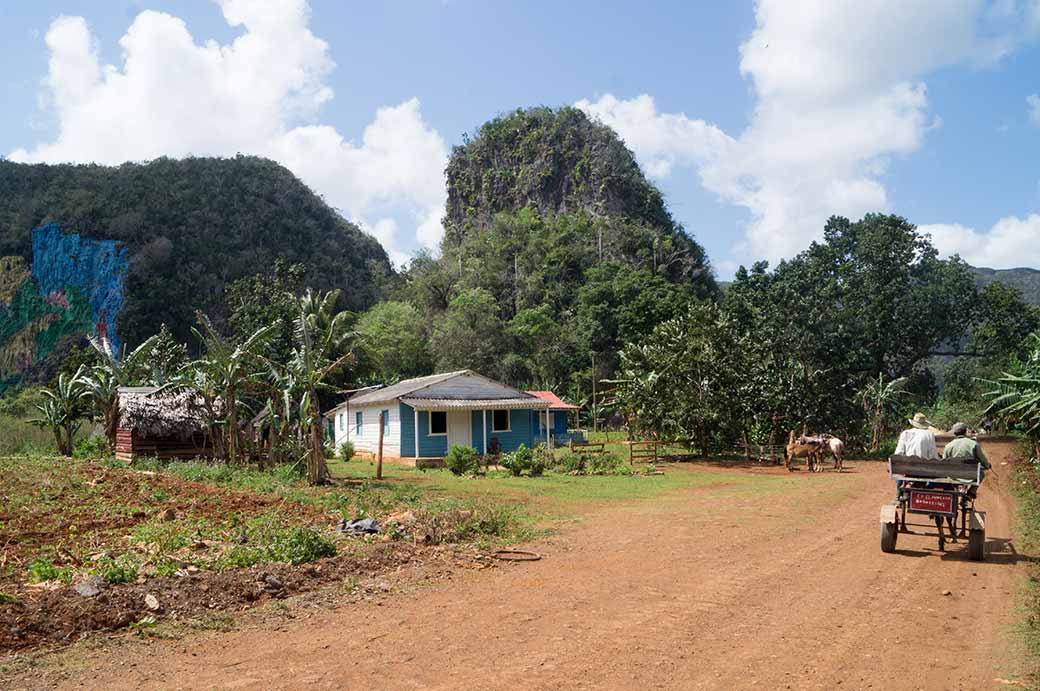 Rural road, Parque Nacional Viñales