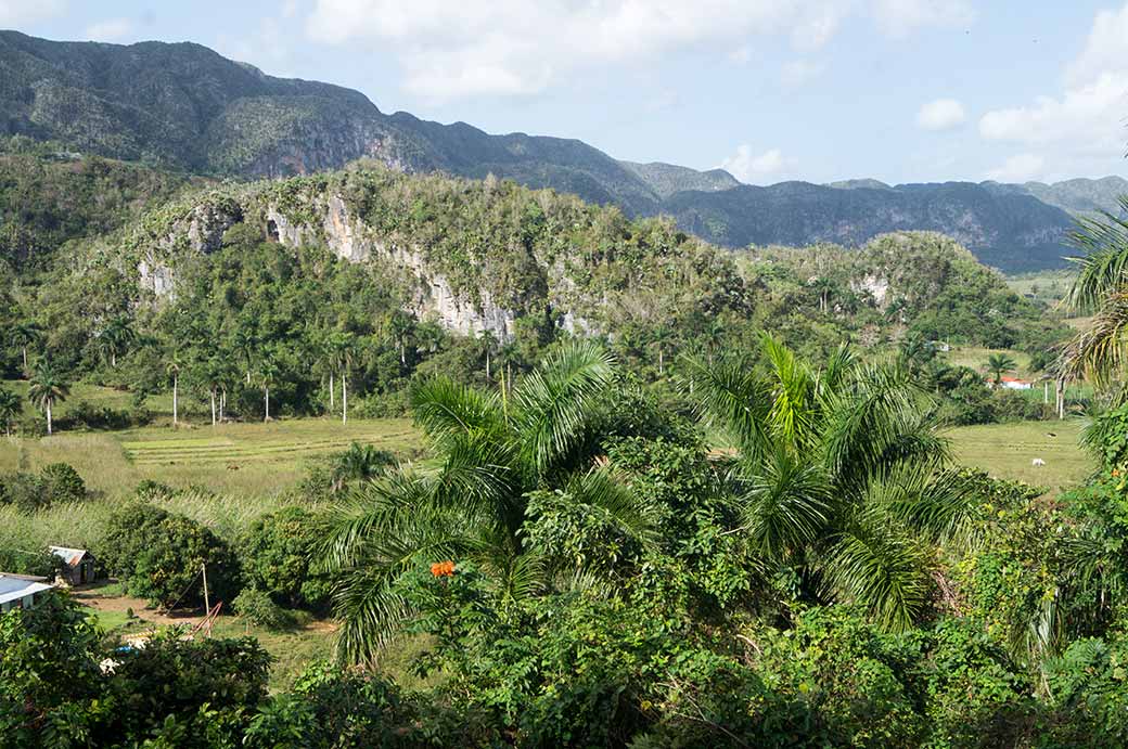 Viñales valley from Raices viewpoint